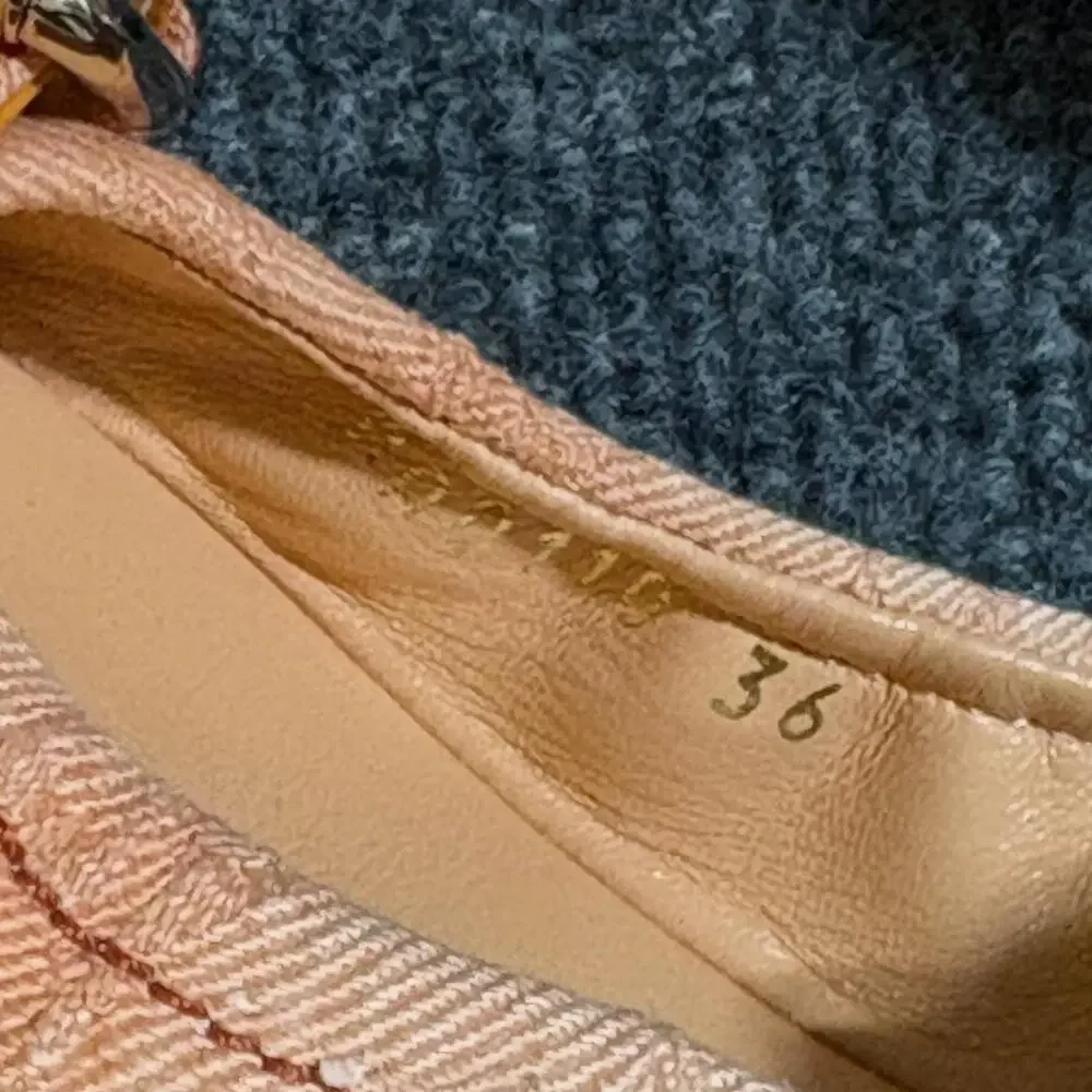 Louis Vuitton brand louis